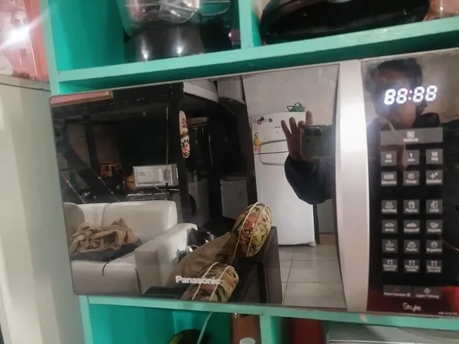 Microondas grandão 110v