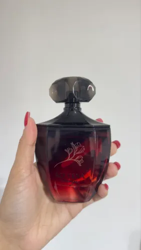 Açucena Rouge - Avatim