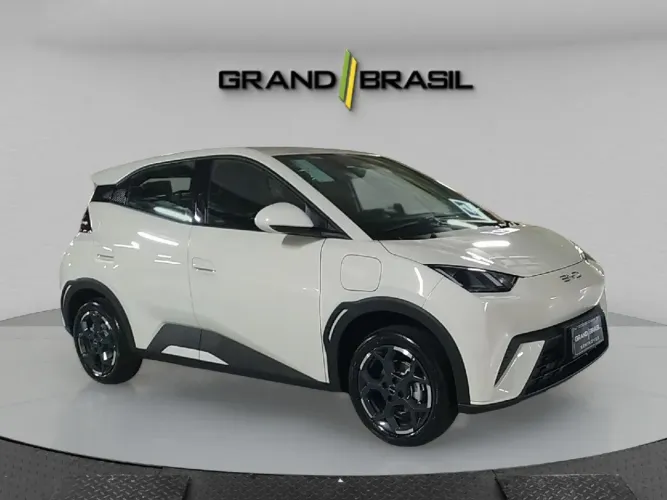 BYD Dolphin Mini (Elétrico) 2027