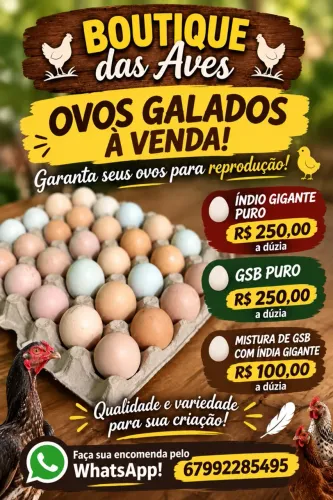 Ovos galados 