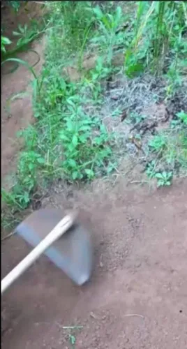 Limpeza  de lotes e obras