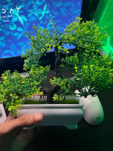 Bonsai Artificial - NOVO