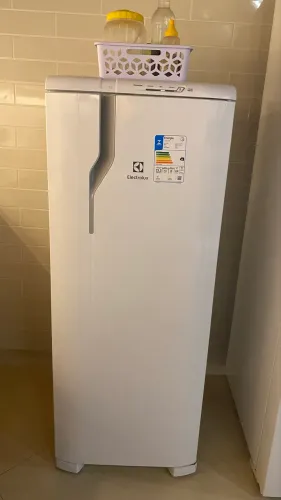 Geladeira RE31 - 240 L