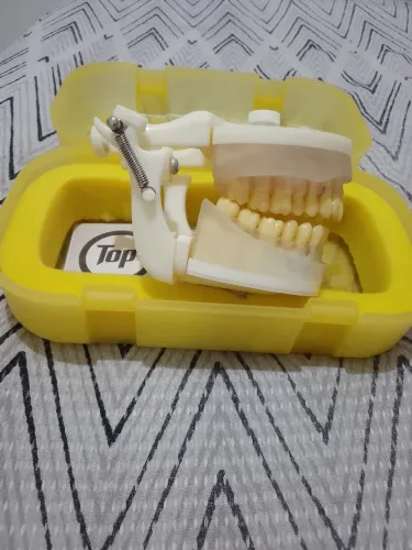 Manequim perio e dentistica.