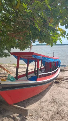 Bajara 