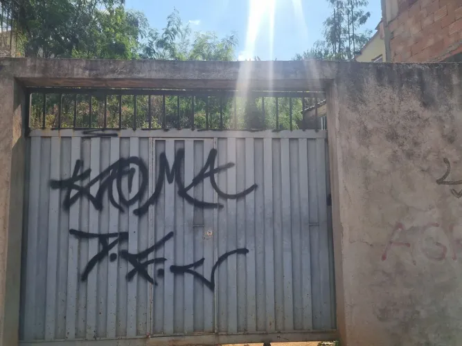 Portão de garagem com social completo.