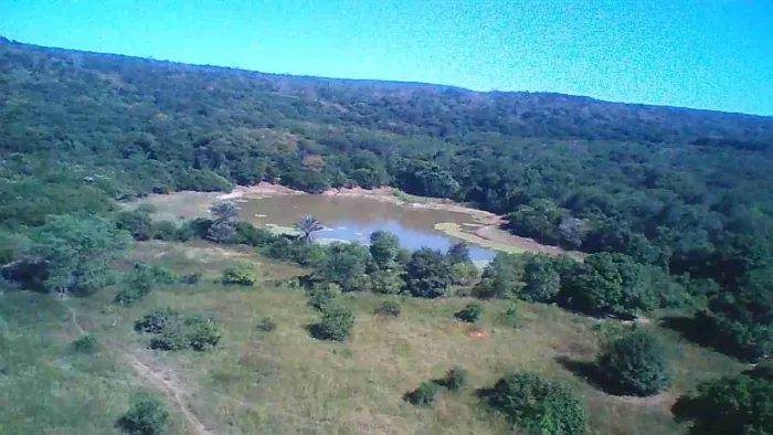 VENDO FAZENDA 800 HECTARES EM SANTA MARIA DA VITÓRIA BA
