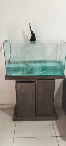 Aquário de 100 litros.