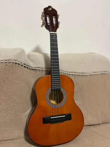 Cavaquinho Gianini 250 so hoje
