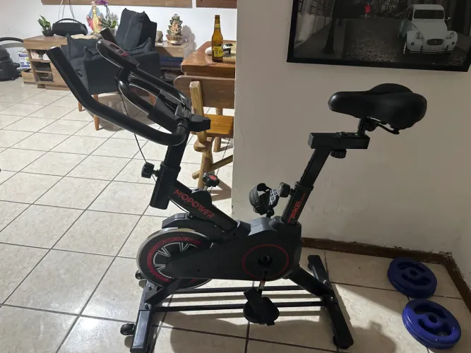 Bicicleta spiner