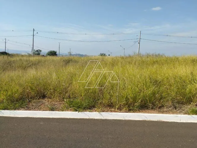 Terreno à venda, Antenor Barion - Marília/SP