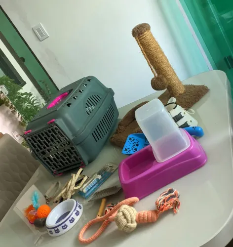 KIT PARA PET