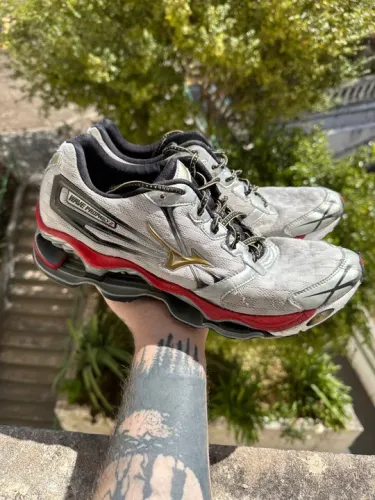Mizuno wave prophecy 2