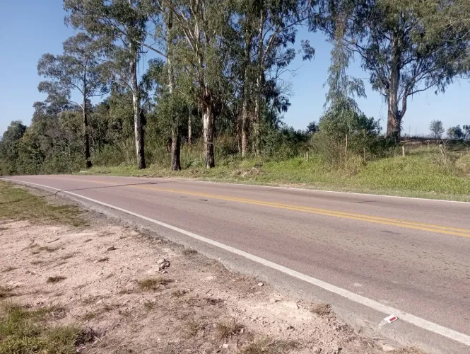 Terreno em frente a BR Mandirituba