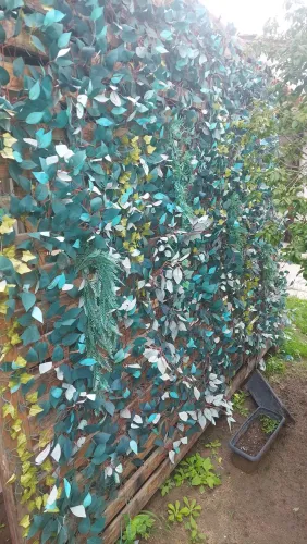 Tablado Palco e Painel Decorativo com Folhagens Artificiais