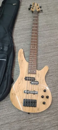 Baixo Waldman WIB305 SPNT | PJ | 5C | Pré Ativo | Spalted Natural+ Bag