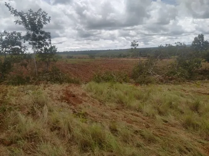 Explore as Vantagens de Comprar uma Fazenda em Porto Nacional - Detalhes Aqui!