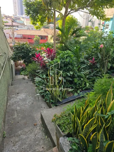 Terreno à venda em São Paulo-SP, Vila Celeste, 485m² de área!