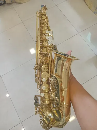 Saxofone Michel Completo.