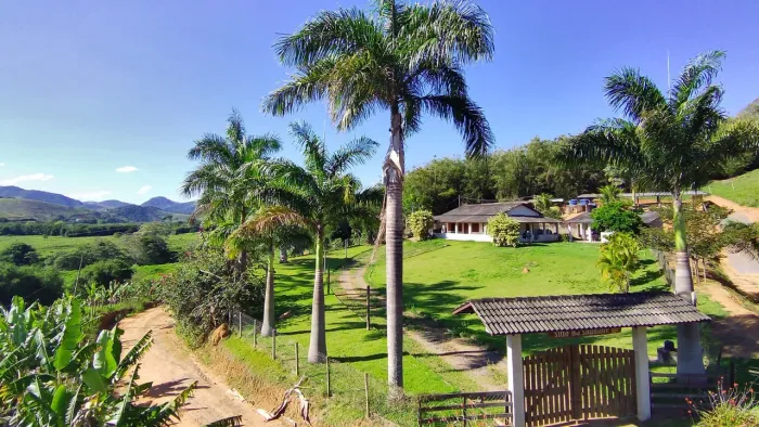 SÍTIO EM PIAU - VENDA DIRETA COM PROPRIETÁRIO
