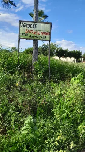 Terreno avenda