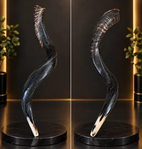 SHOFAR