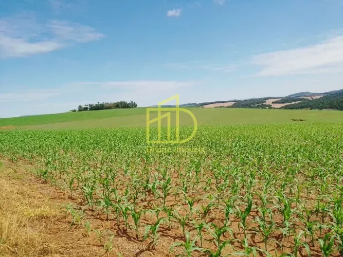 Fazenda à Venda em Itaporanga, SP - 270 Alqueires Oportunidade Única!