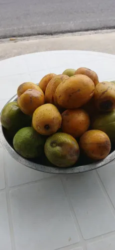 Fruta cajarana 1 cada