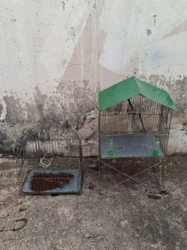Vendo gaiolas