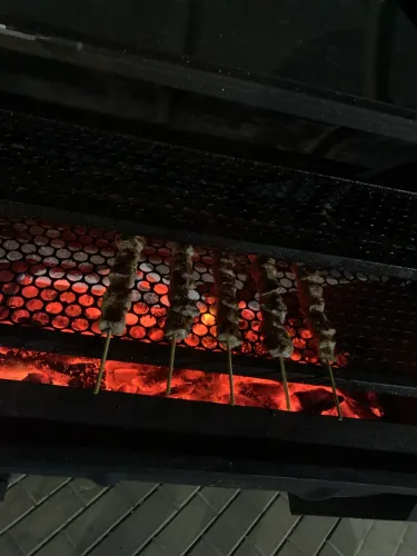 Carrinho de Espetinho/Lanches Profissional com Churrasqueira Embutida