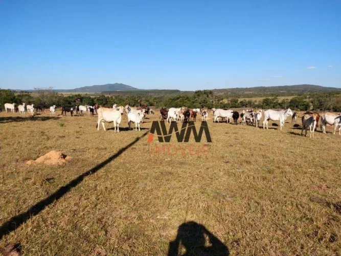 Fazenda à venda, 2129600 m² por R$ 5.000.000,00 - Zona Rural - Uruana/GO