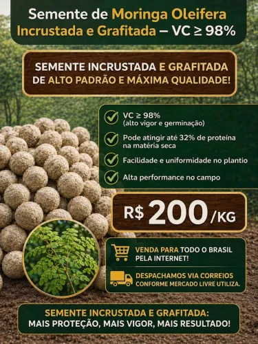 ?SEMENTE DE MORINGA?