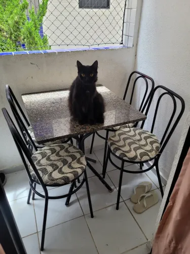 Mesa com pedra de mármore + 4 cadeiras