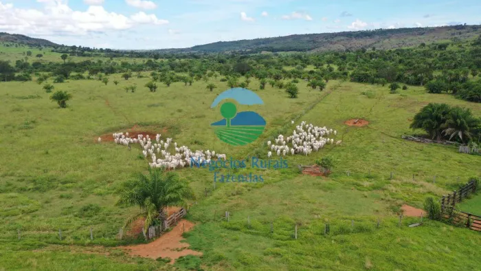 Fazenda 351 Alqueires ou 1.698 Hectares Região de Jussara - GO