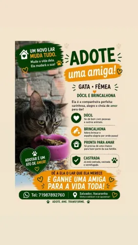 ADOÇÃO GATA