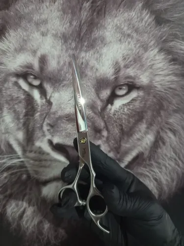 Tesoura de corta cabelo Jaguar silver line profissional 