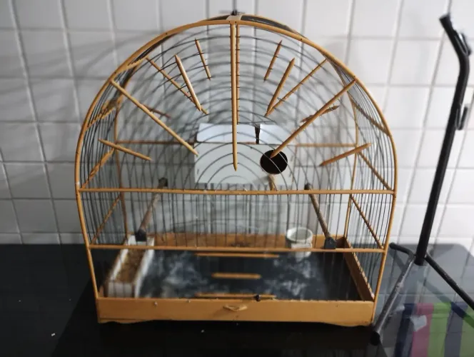 Gaiola de Pássaros grande + Vem de Brinde ração de ?
