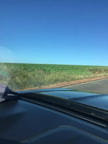 Fazenda 44 alq de lavoura na região de Anicuns - GO