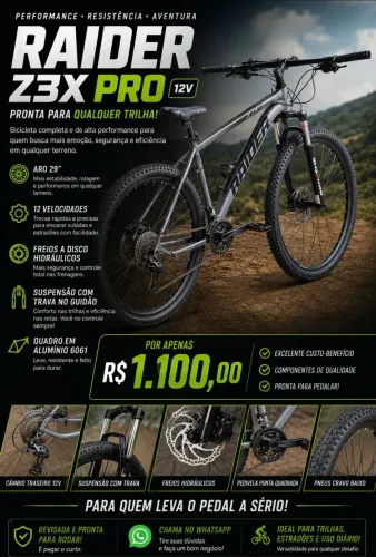 Bicicleta