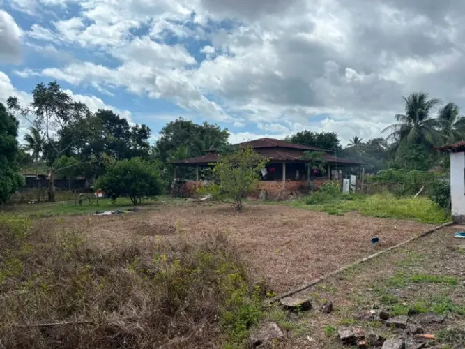 Área Coquilho | 17.5 Hectares