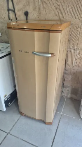 Freezer 220v perfeito ligado valor 800.00