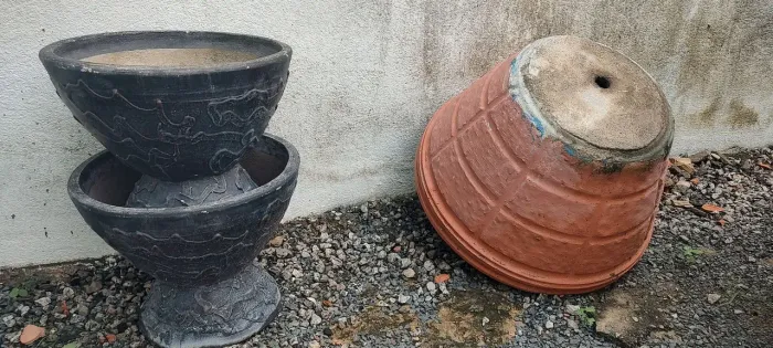 Vasos de planta