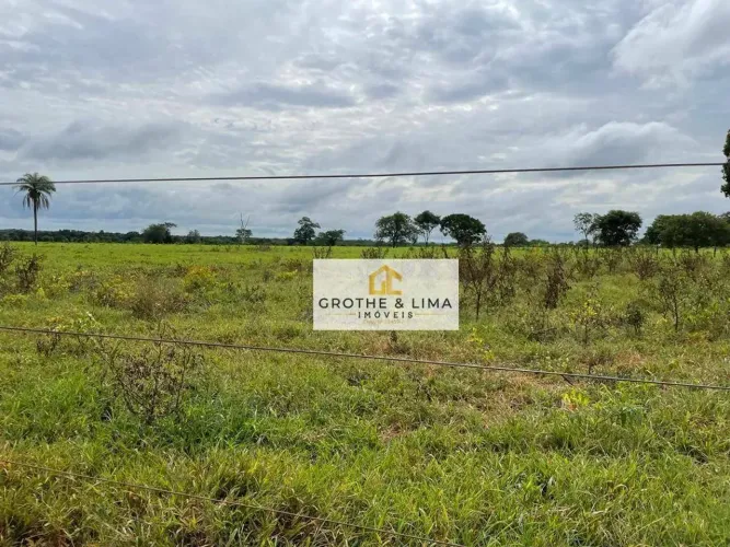 ?? Fazenda à Venda no Vale do Araguaia TO! ????