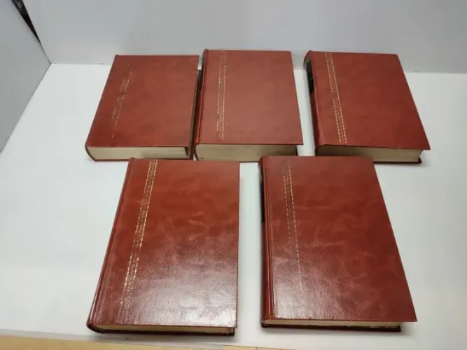 Dicionario Brasileiro Melhoramentos 5 Volumes 6 Edicao 1970