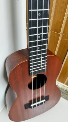 Ukulele