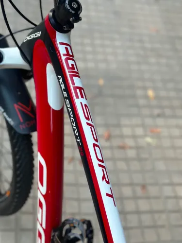 VENDO OGGI AGILE SPORT CARBONO