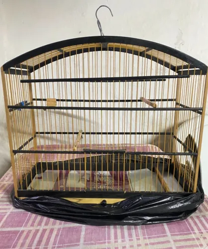 GAIOLA NOVA