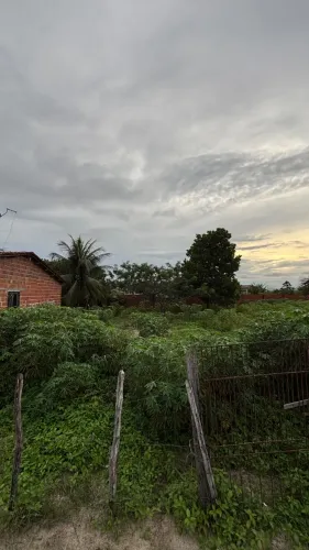TERRENO 6 X 33