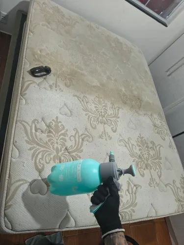 Higienização que cabe no seu bolso