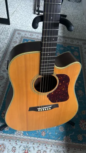 Violao D600CE Walden